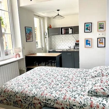 Cosy Le Bareuzai Dijon