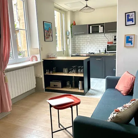 Cosy Le Bareuzai Apartment Dijon