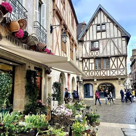 Cosy Le Bareuzai *