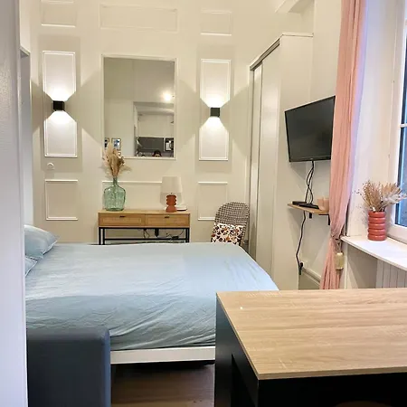 Le Bareuzai Apartment Dijon