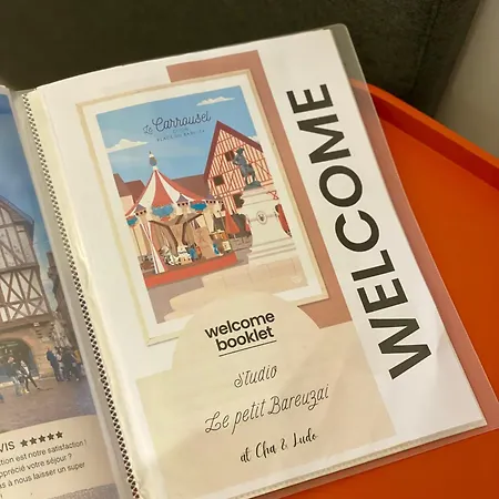 Le Bareuzai Apartment Dijon