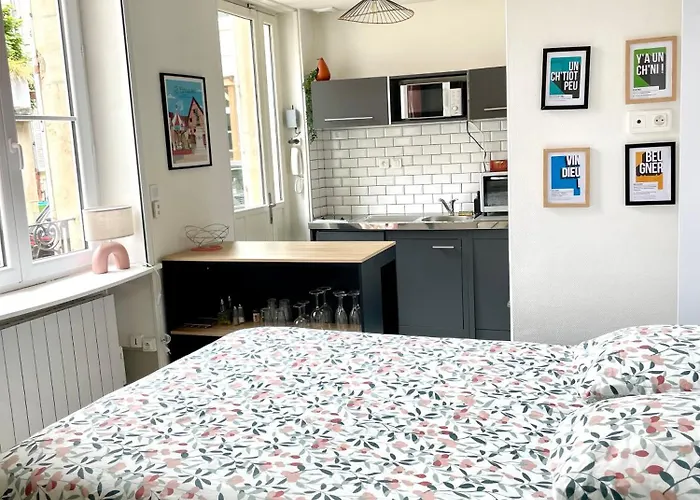 Le Bareuzai Дижон