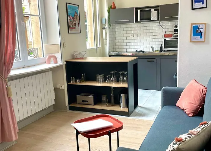 Le Bareuzai Apartament Dijon