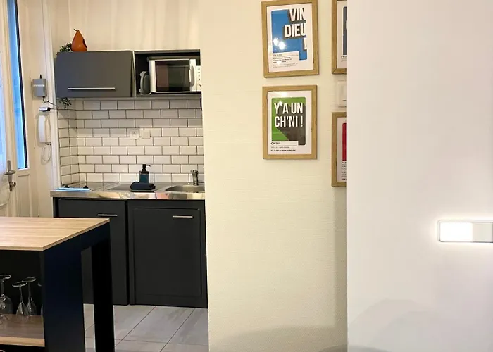 Apartamento Le Bareuzai Dijon